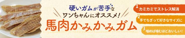 馬肉かみかみガム