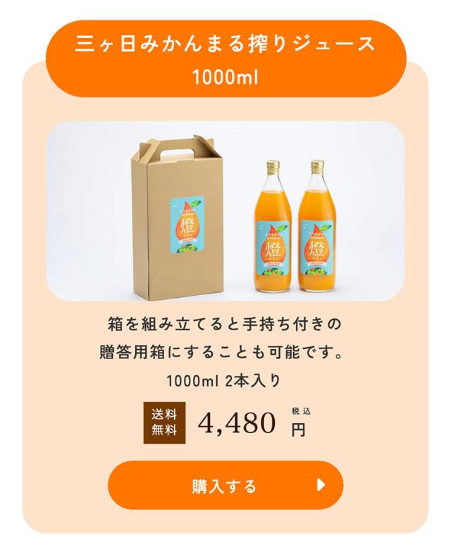 三ヶ日みかんジュース1000ml×2