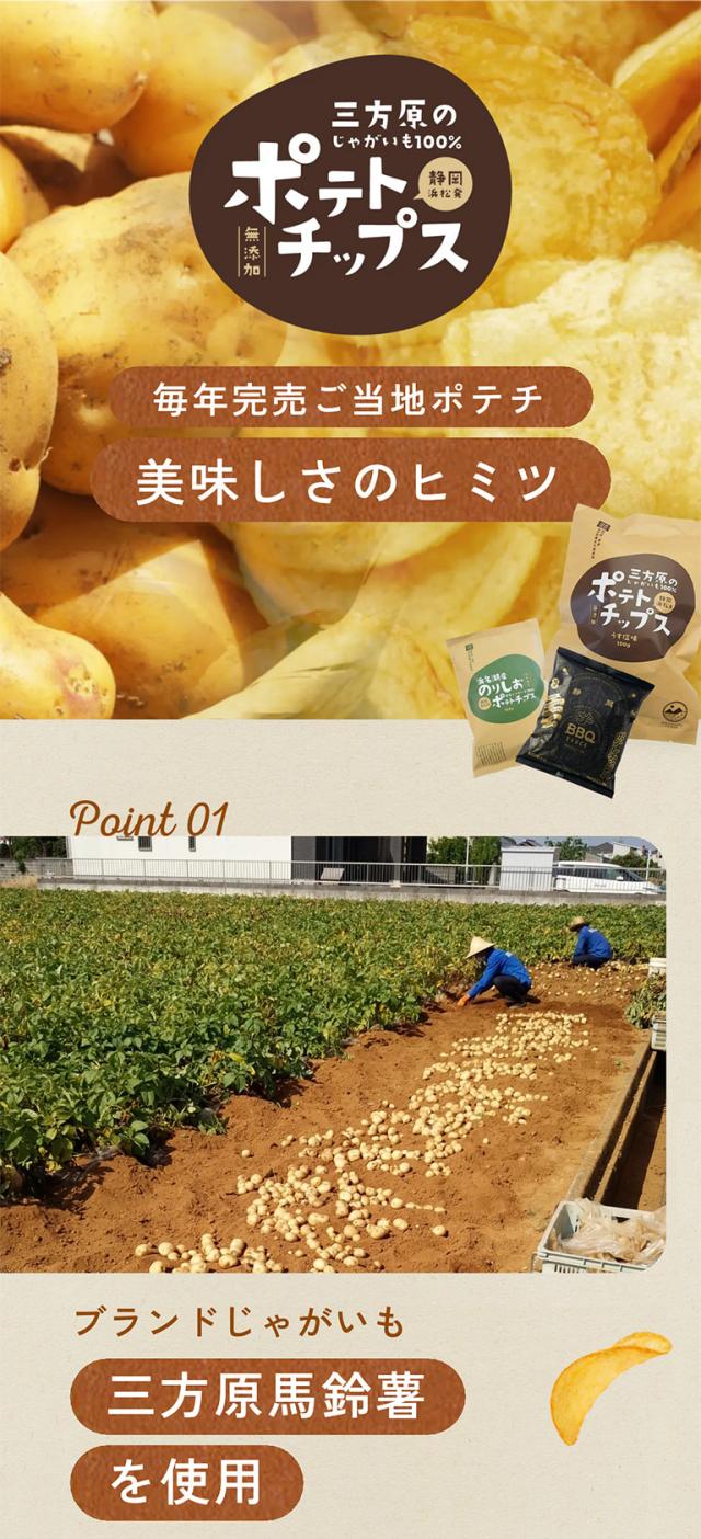 三方原じゃがいもポテトチップスのポイント