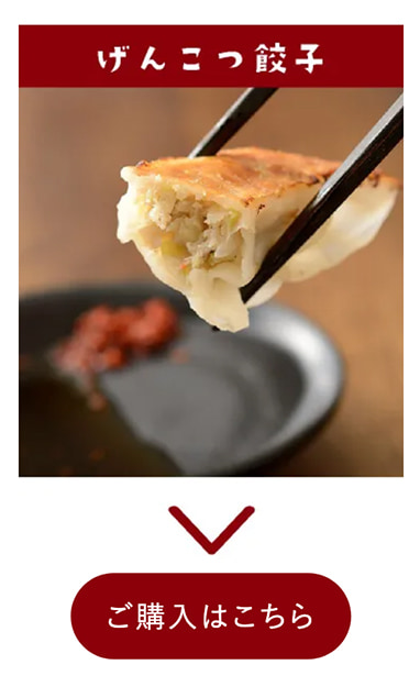 げんこつ餃子