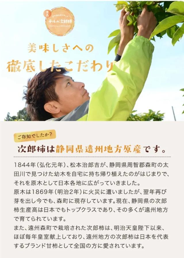 テルの次郎柿こだわり