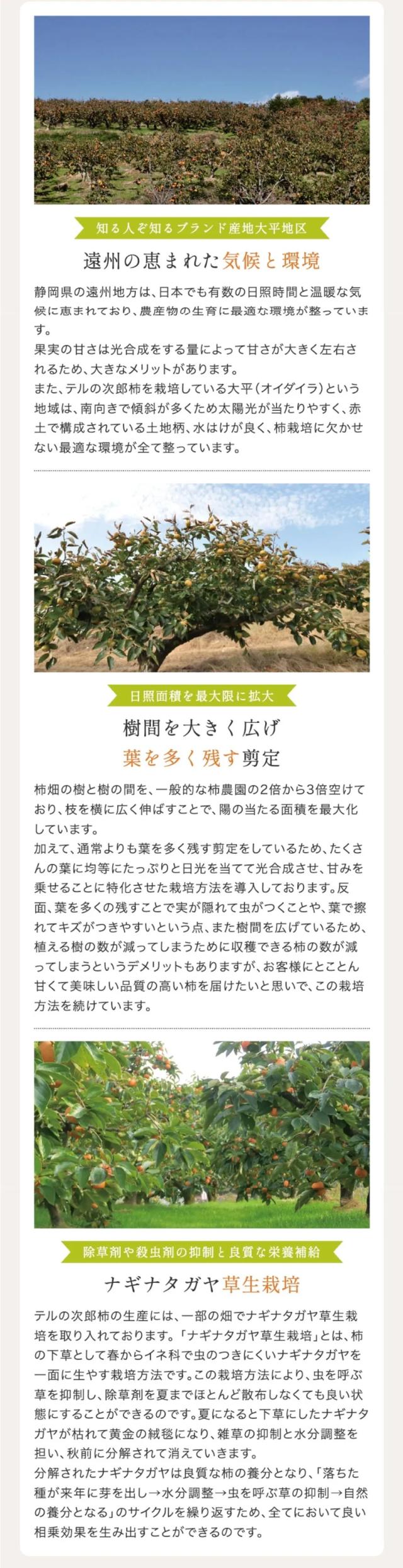 テルの次郎柿こだわり