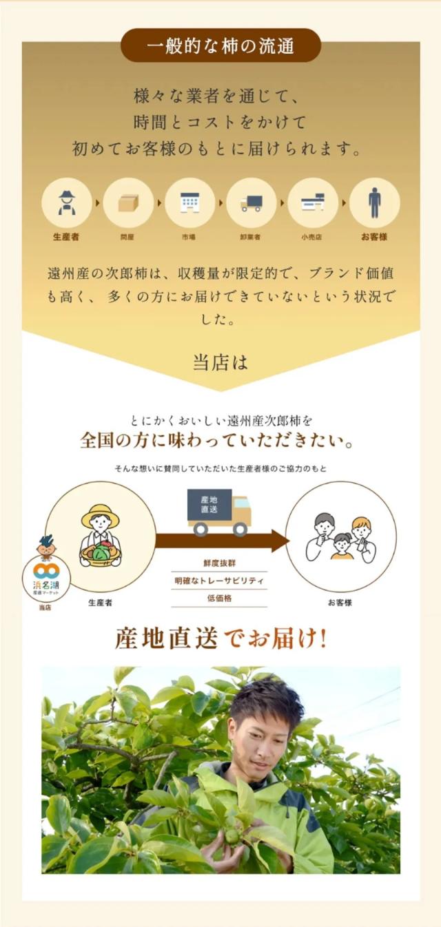 テルの次郎柿比較