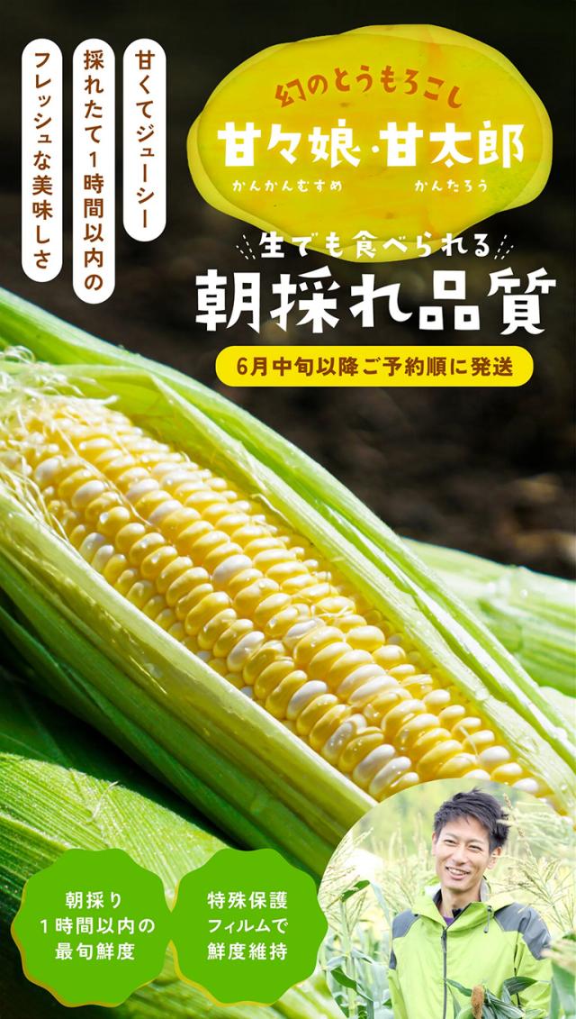 甘々娘・甘太郎