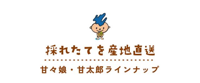 甘々娘・甘太郎ラインナップ