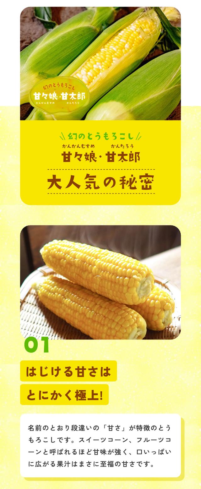 甘々娘甘太郎人気の秘密