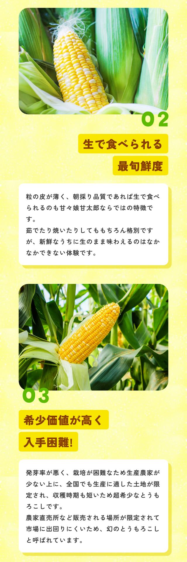 甘々娘甘太郎人気の秘密