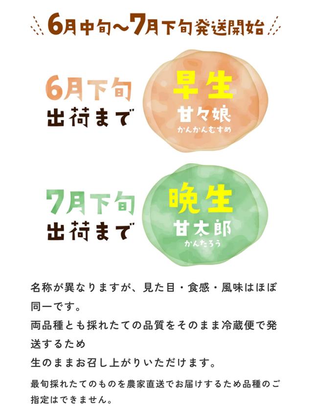 甘々娘甘太郎お届けについて