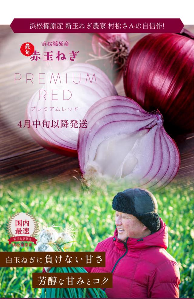  浜松産赤玉ねぎ
