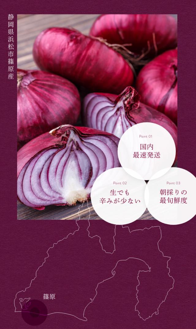  浜松産赤玉ねぎ