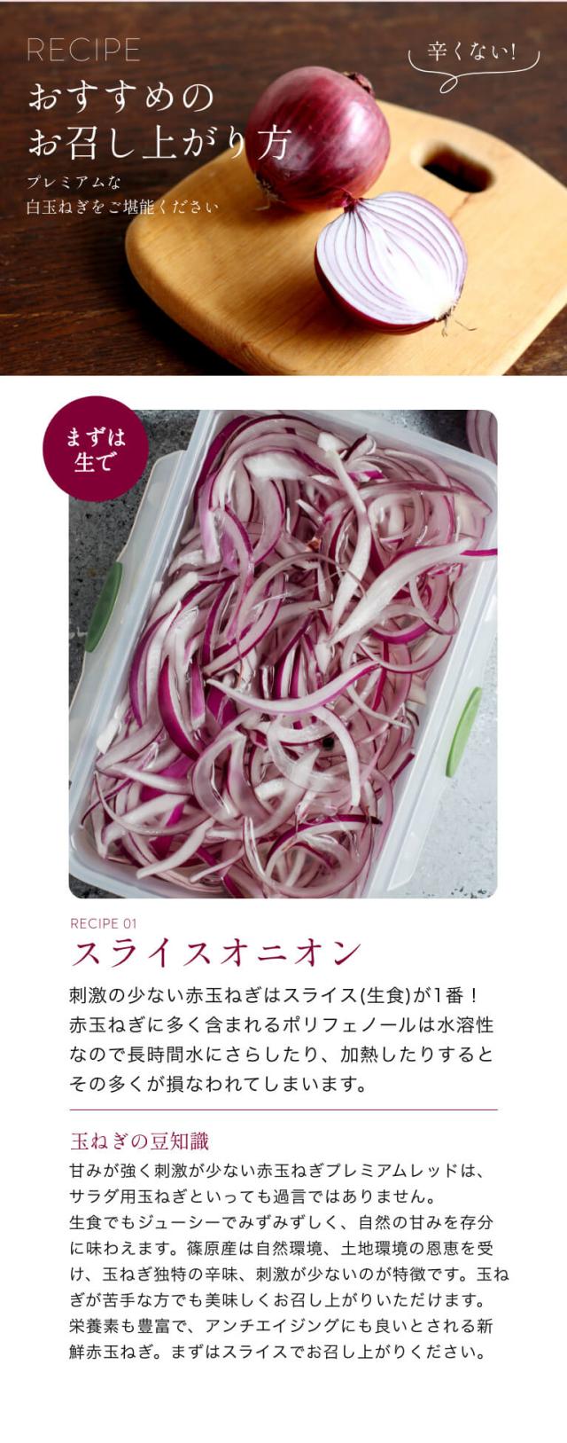  浜松産赤玉ねぎ