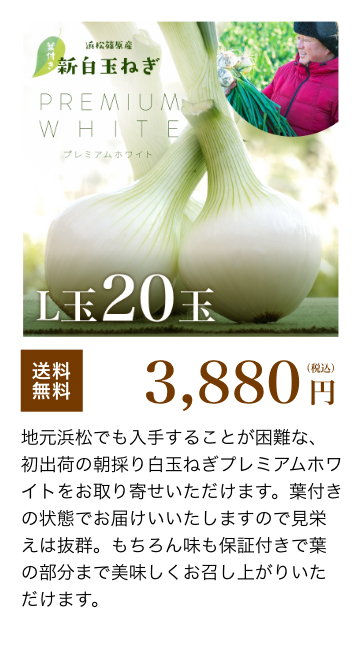 葉付き 浜松産白玉ねぎ 20玉