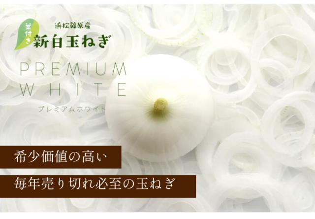 葉付き 浜松産白玉ねぎ