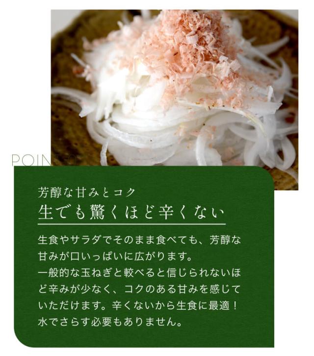 葉付き 浜松産白玉ねぎ