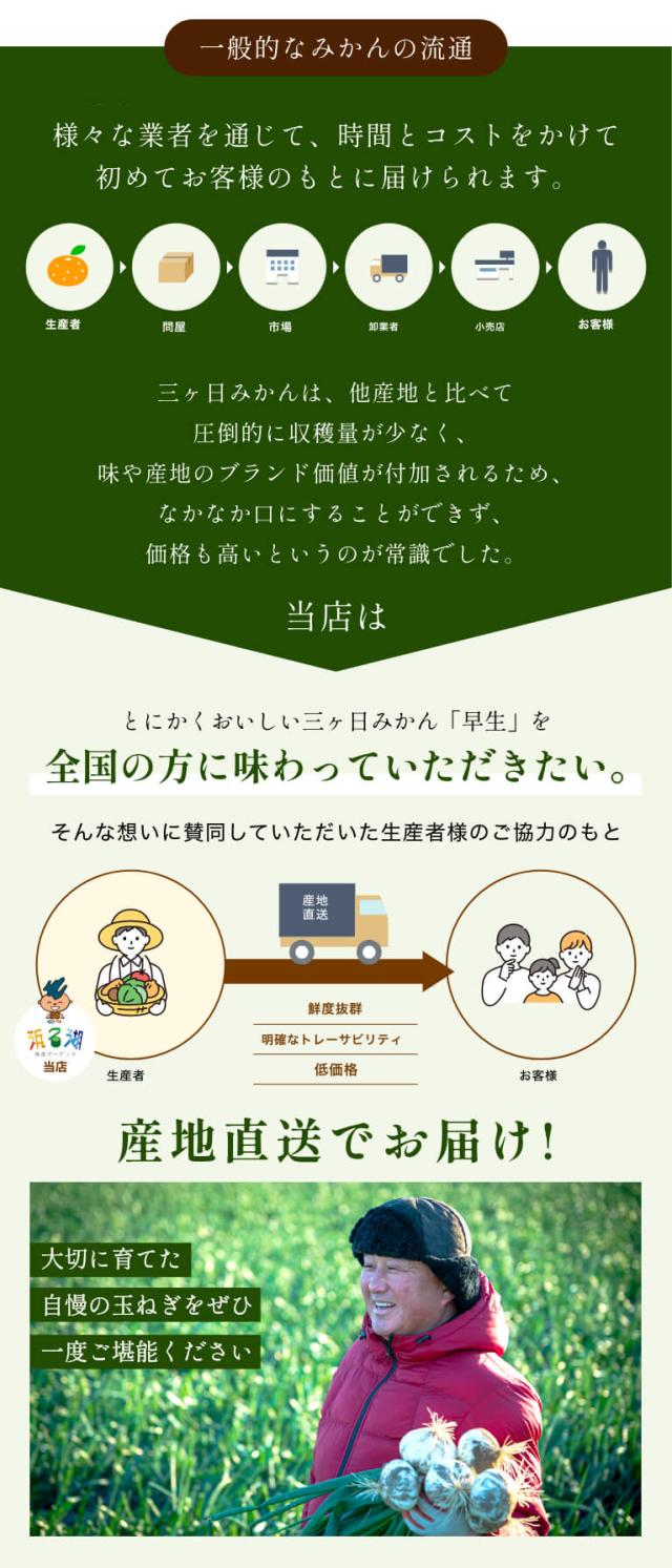 葉付き 浜松産白玉ねぎ