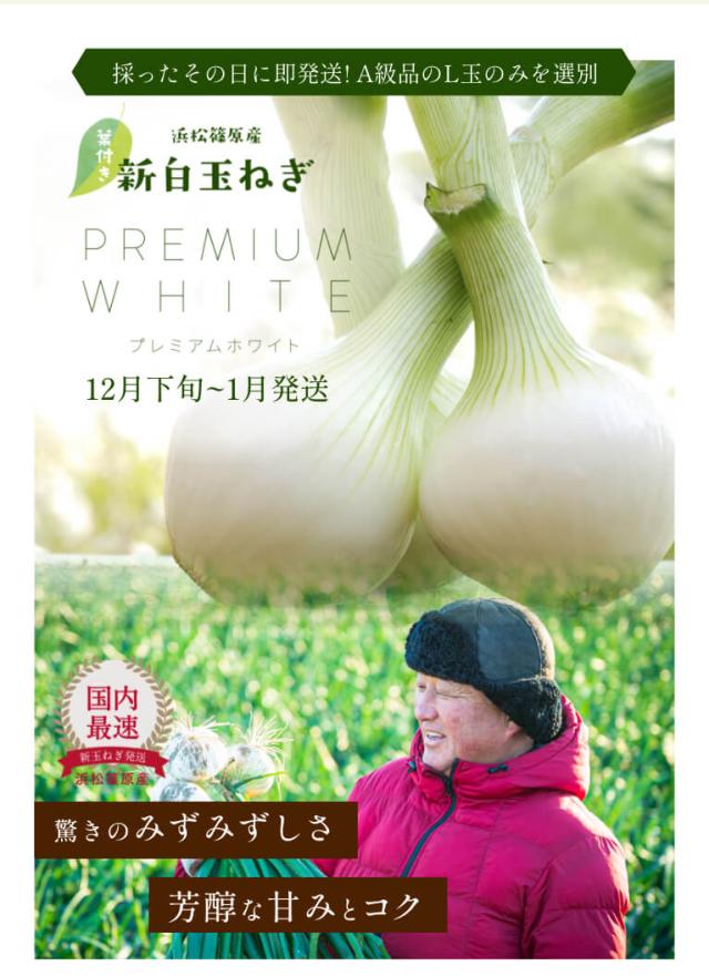 葉付き 浜松産白玉ねぎ