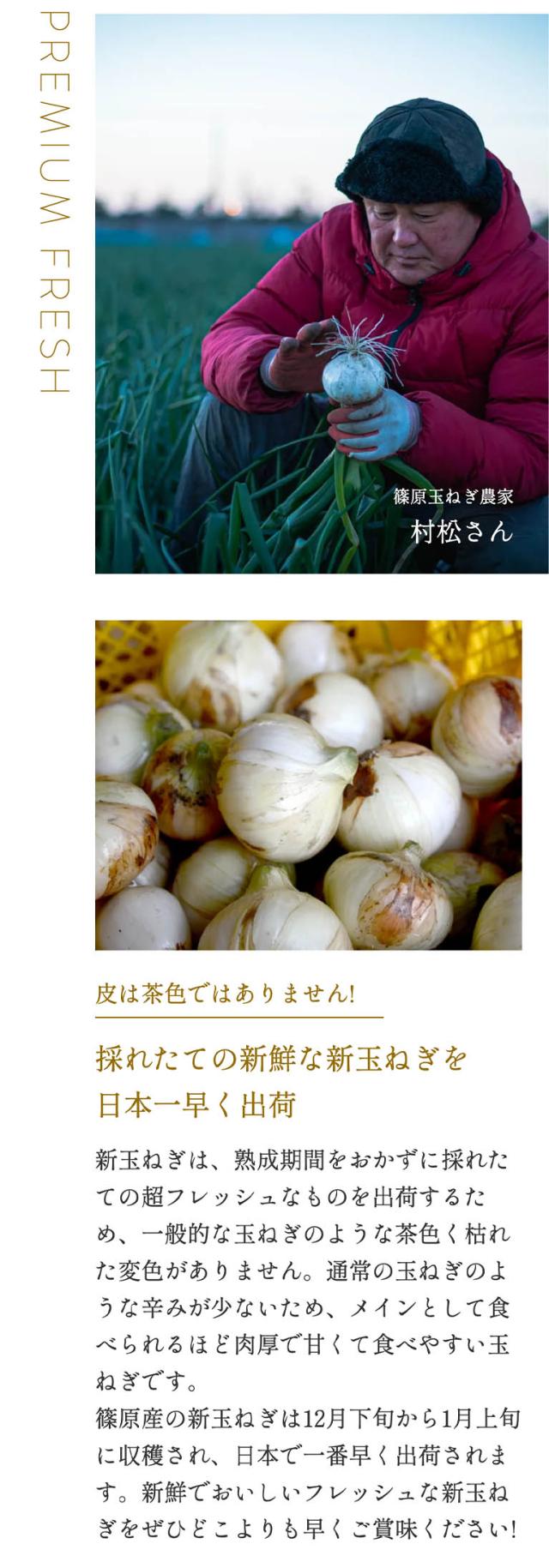  浜松産新玉ねぎ