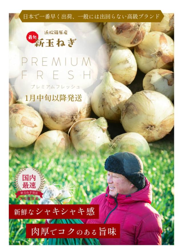  浜松産新玉ねぎ
