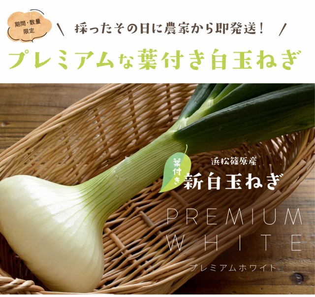 辛くない！芳醇な甘さとみずみずしさが魅力【農家直送】12月下旬の通販はau　浜松篠原産【A級品L玉】【葉付新白玉ねぎ】プレミアムホワイト【10玉】　マーケット店　PAY　au　PAY　マーケット　浜名湖産直マーケット　マーケット－通販サイト　au　PAY