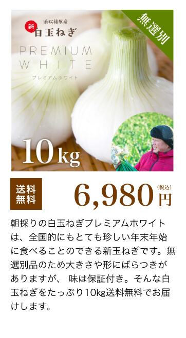  浜松産白玉ねぎ 10kg