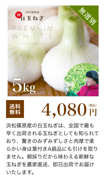  浜松産白玉ねぎ 5kg