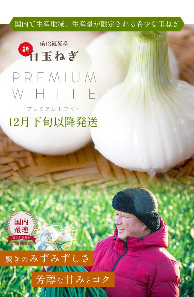  浜松産白玉ねぎ
