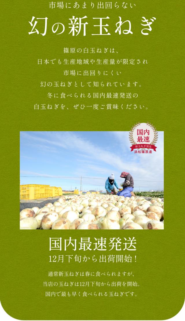  浜松産白玉ねぎ