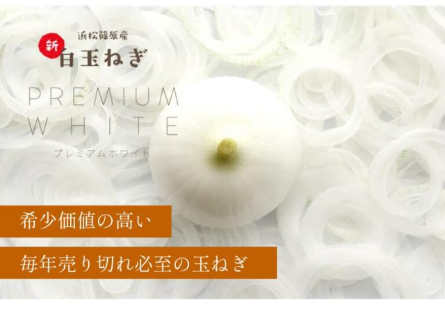  浜松産白玉ねぎ