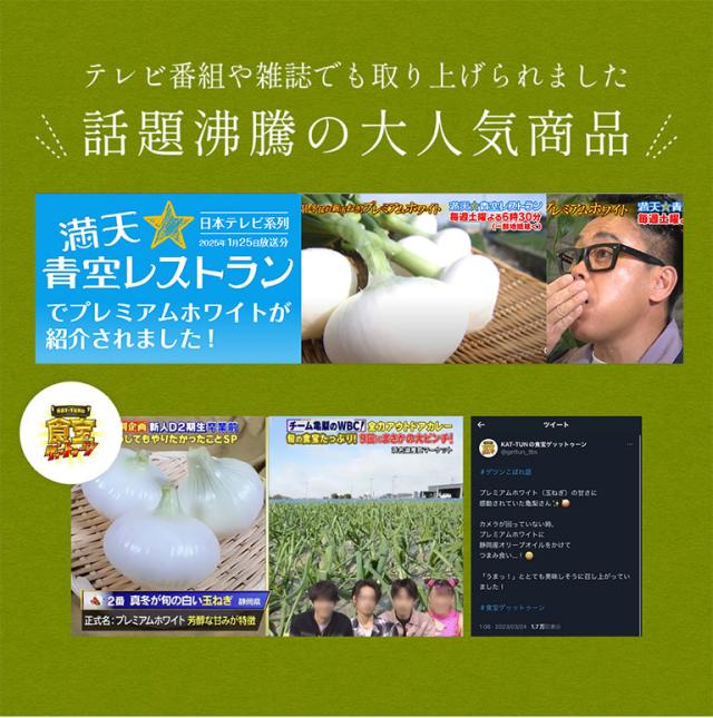  浜松産白玉ねぎ