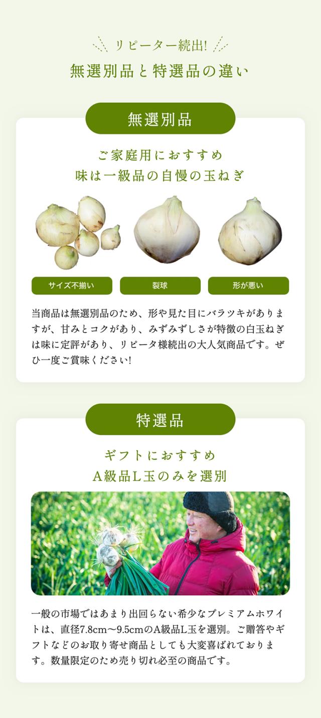  浜松産白玉ねぎ