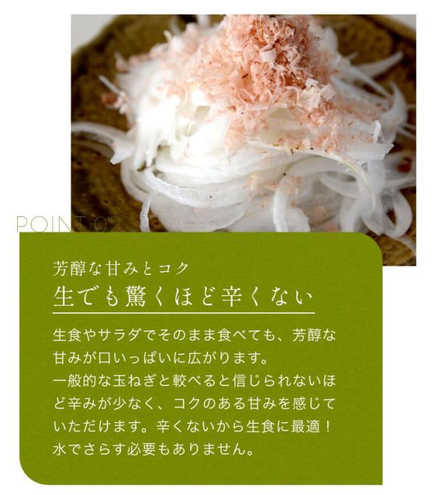  浜松産白玉ねぎ