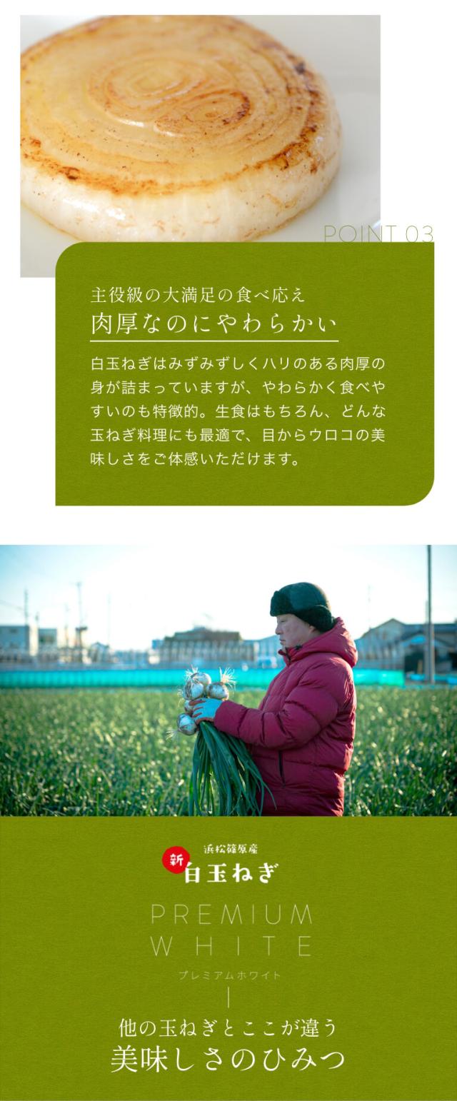  浜松産白玉ねぎ