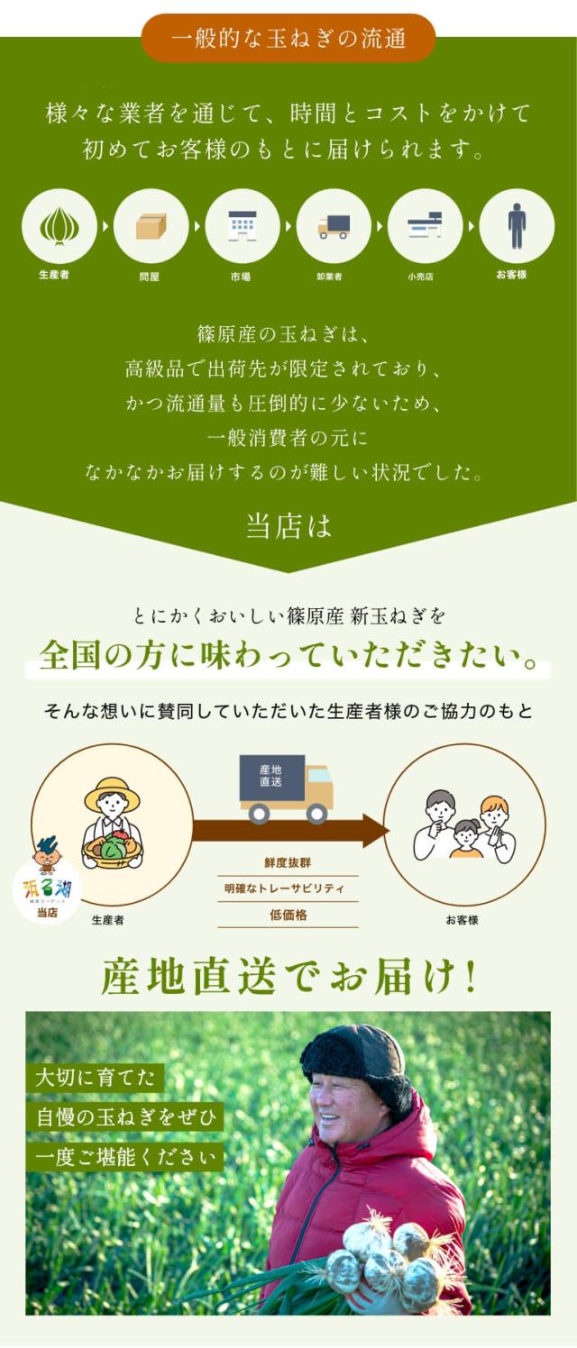  浜松産白玉ねぎ