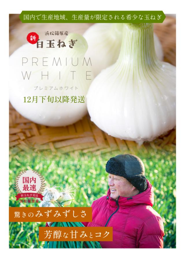  浜松産白玉ねぎ