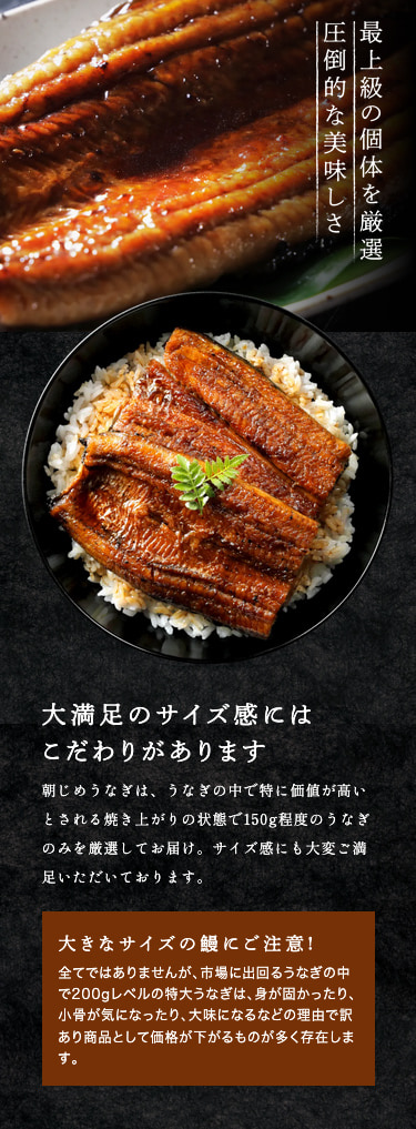 国産 朝じめうなぎ蒲焼き