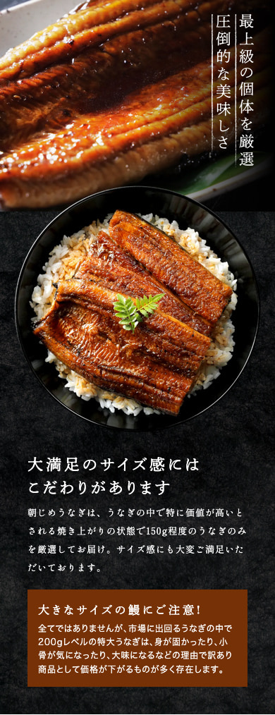 国産 朝じめうなぎ