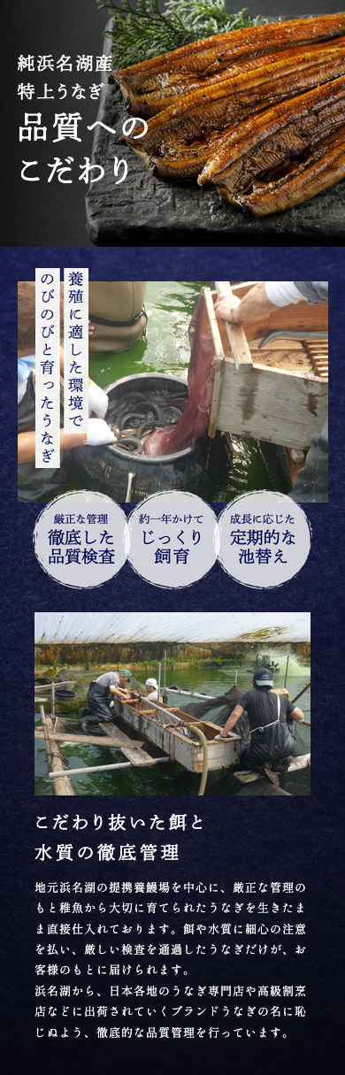 国産 浜名湖産 うなぎ蒲焼き