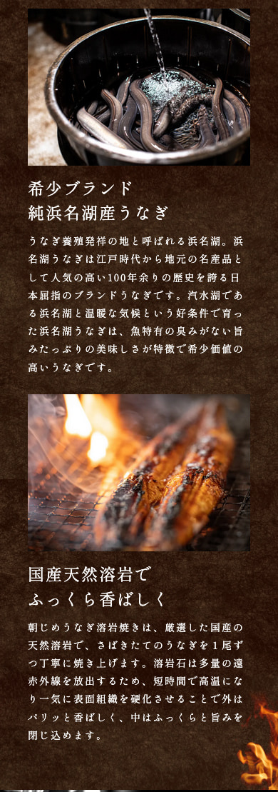 国産 朝じめうなぎ