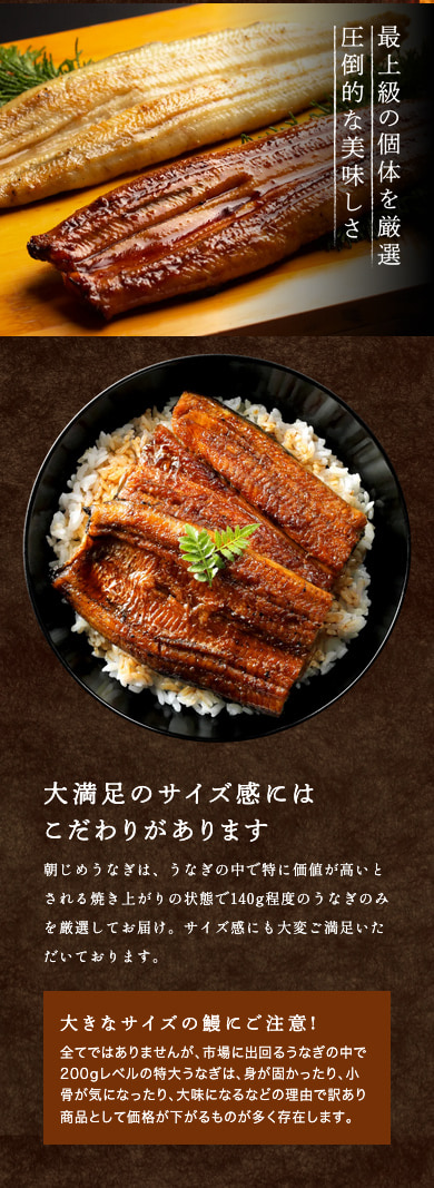 国産 朝じめうなぎ