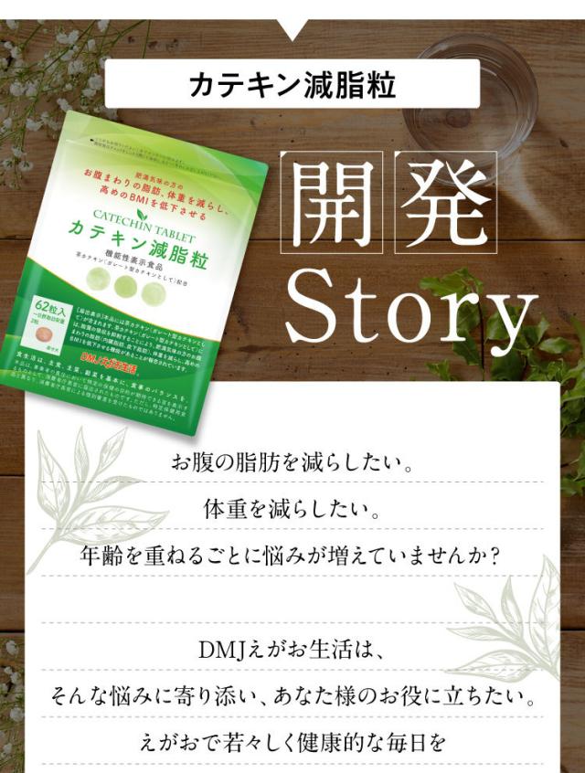 カテキン減脂粒　3袋　62粒入 カテキン減脂粒 DMJえがお生活 日本製 31日分 カテキン サプリ
