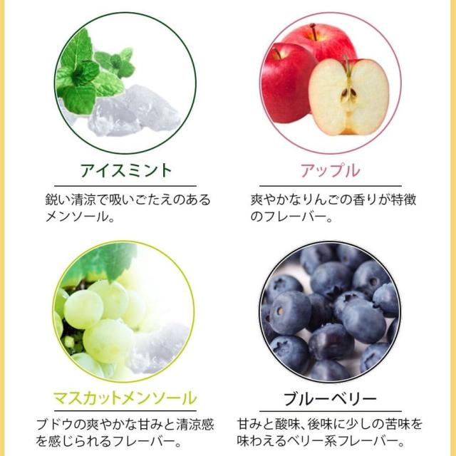 アイトレーディング互換品 プルームテックプラス用 カートリッジ Ploom TECH+用 TECH+ with用 個包装 10本