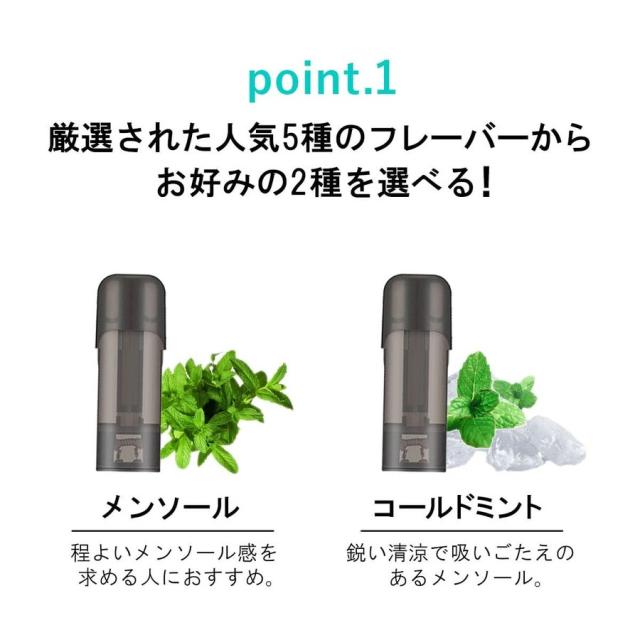 アイトレーディング互換品 ドクターベイプ モデル2用 フレーバー カートリッジ DR.VAPE MODEL2用 VAPE 個包装 10本