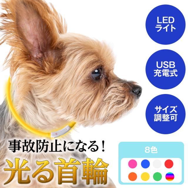 光る首輪 犬