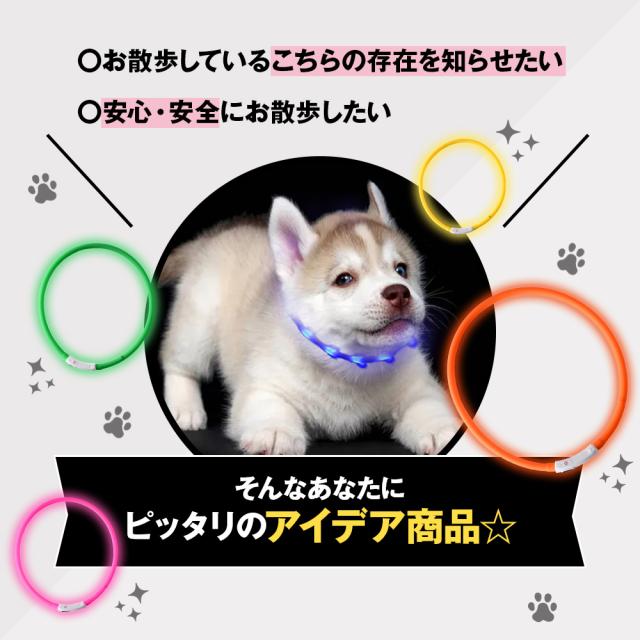 光る首輪 犬