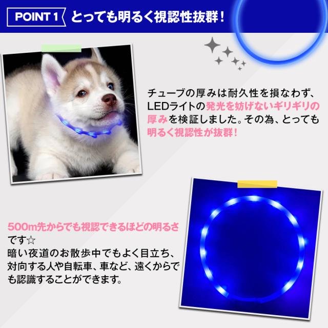 光る首輪 犬