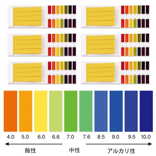 pH試験紙