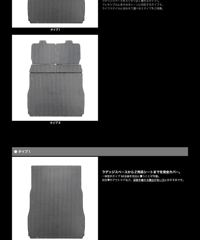 ATRAIロングラゲッジ3