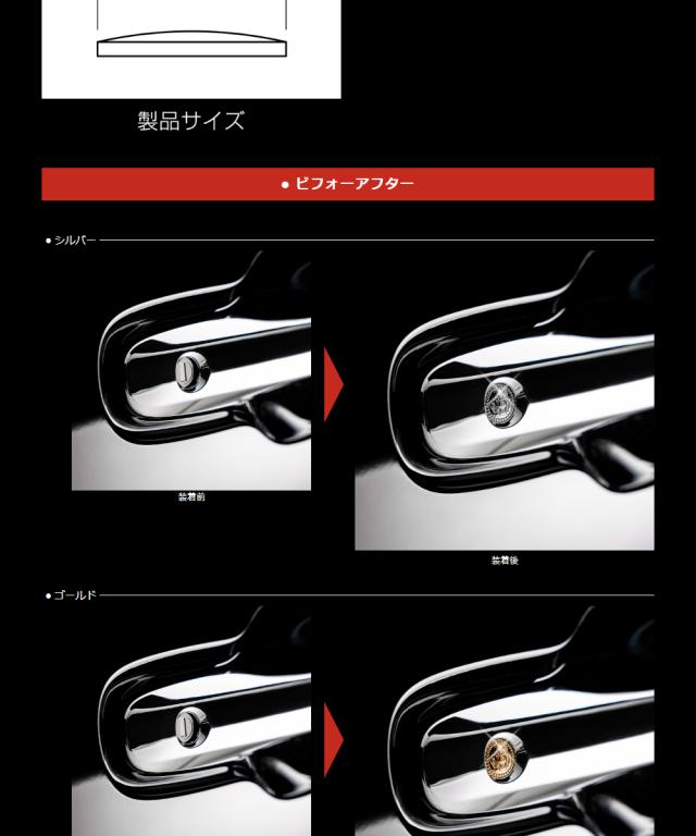 SB191_キーレスエンブレム3