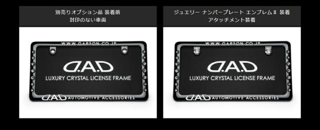 SB193クリスタル ライセンスフレーム4