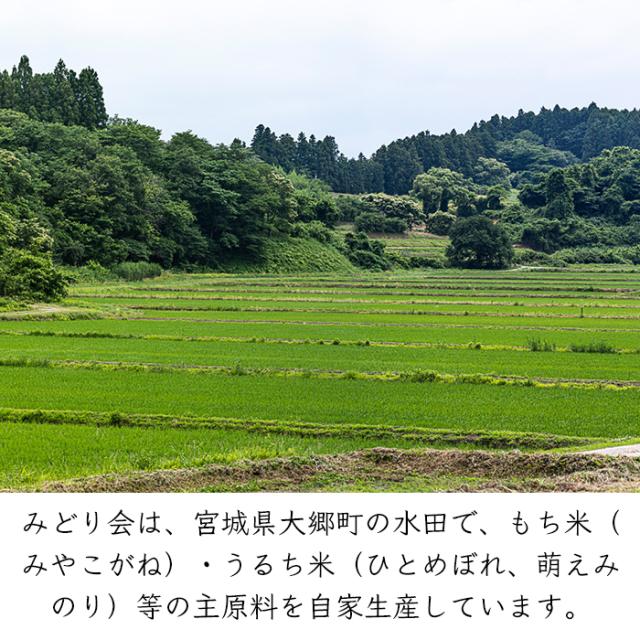 冷凍 みやこがねもち100％）みどり会 んだ！ずんだ餅 8パック お餅5個／パック《メーカー直送》【送料無料 沖縄離島以外】（ 宮城県 大郷町 ずんだ餅 ） 宮城 ずんだ ズンダ 餅 お餅 枝豆 えだ豆 枝まめ えだまめ 枝マメ エダ豆 みどり会農産加工株式会社